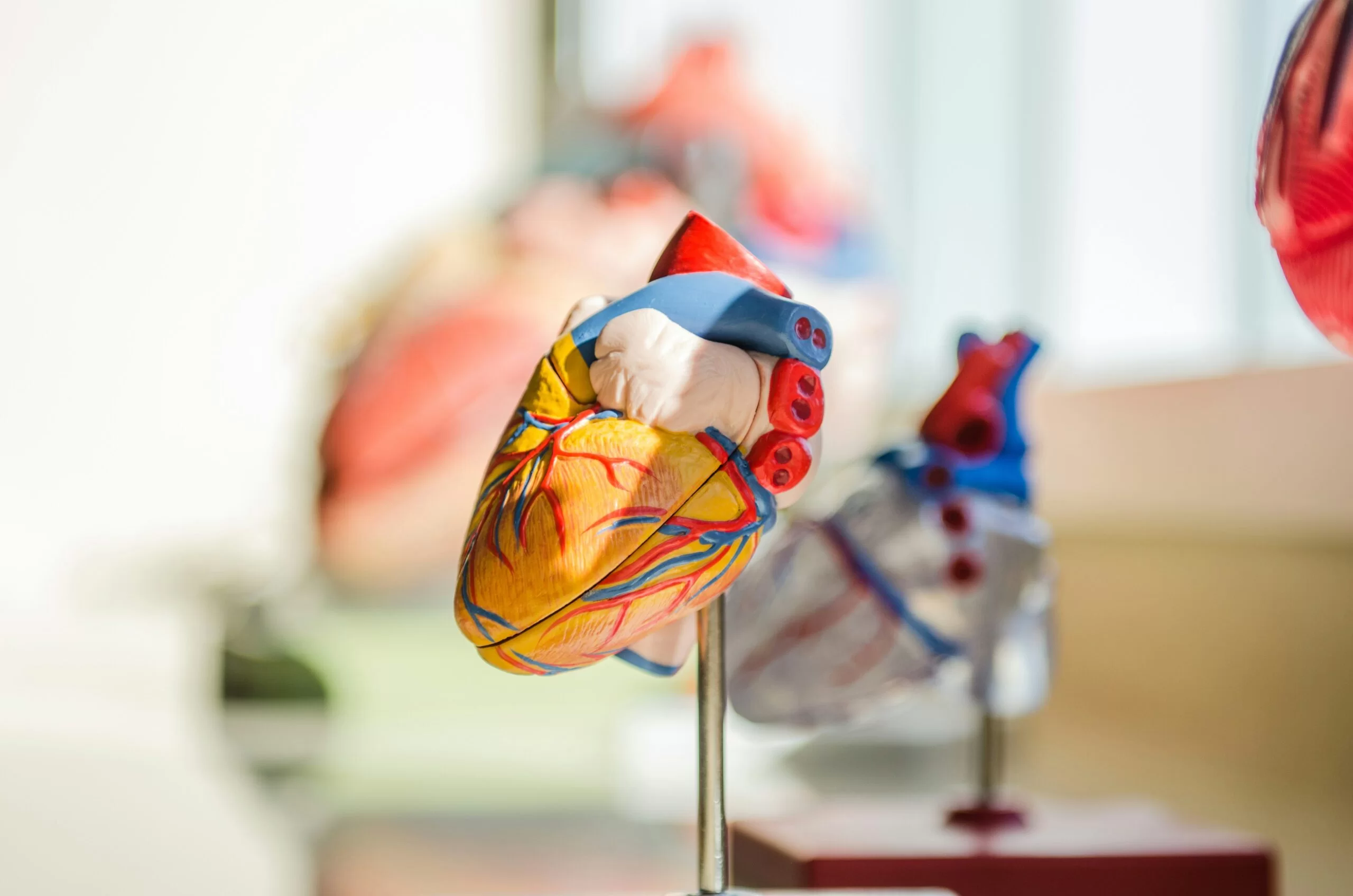 Carotid Stenosis Treatment in Joplin, Missouri