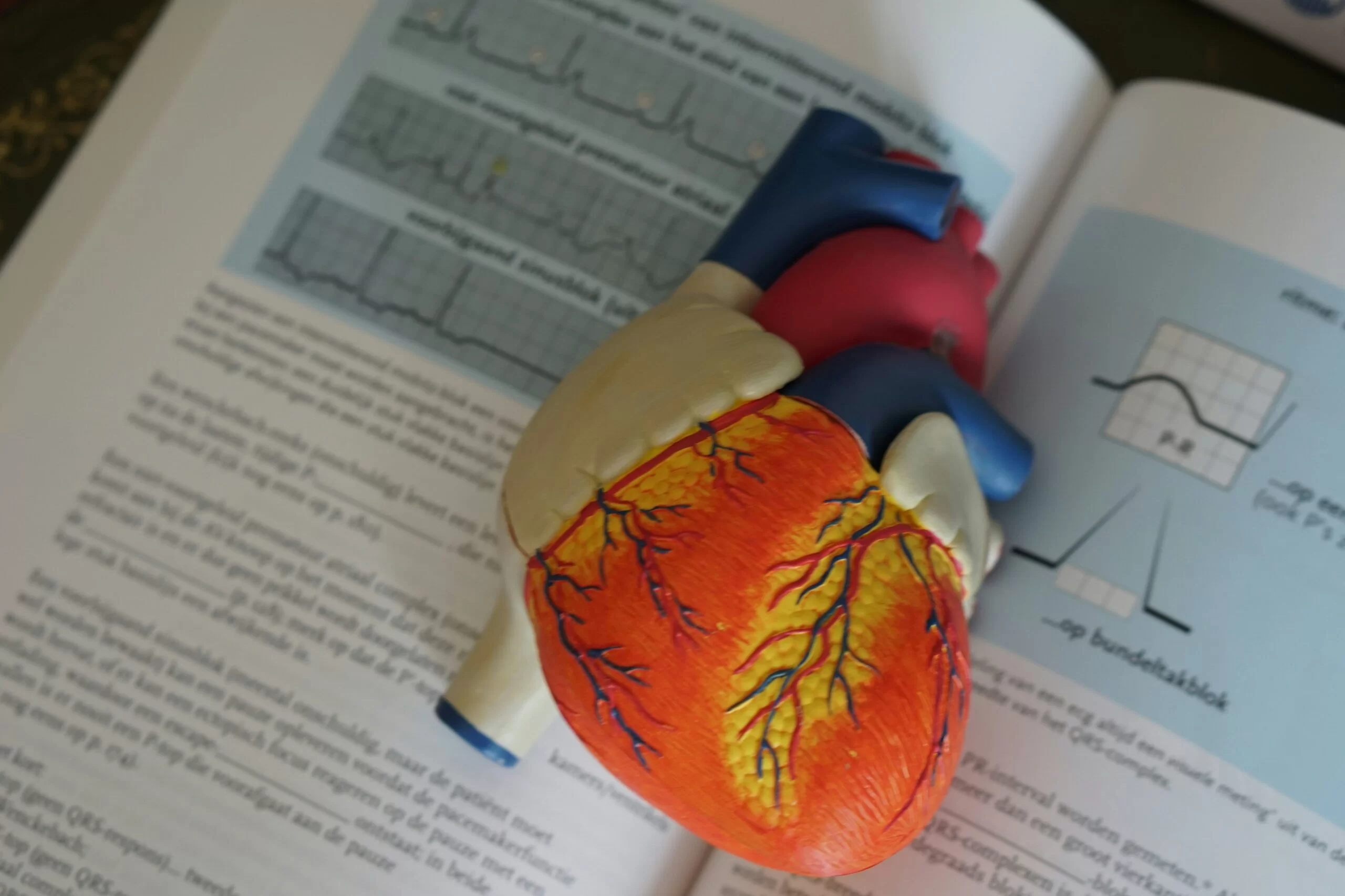 robina-weermeijer-z8_-Fmfz06c-unsplash-scaled Treatment Options for Aneurysms in Joplin MO
